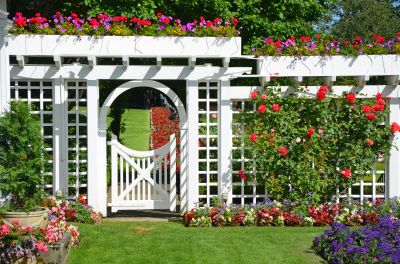 Arbor Replacement in Wilmington, NC