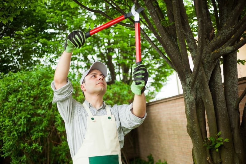 Qualified Arborists