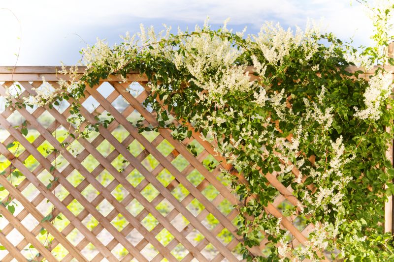 Wood Trellis Installation in Kansas City, KS